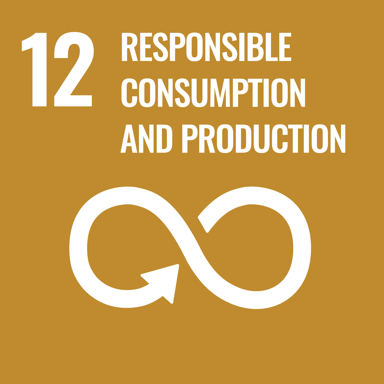 SDG 12: Responsible Consumption and Production image