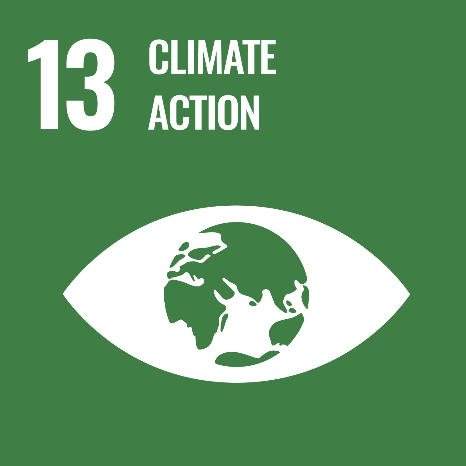 SDG 13: Climate Action image