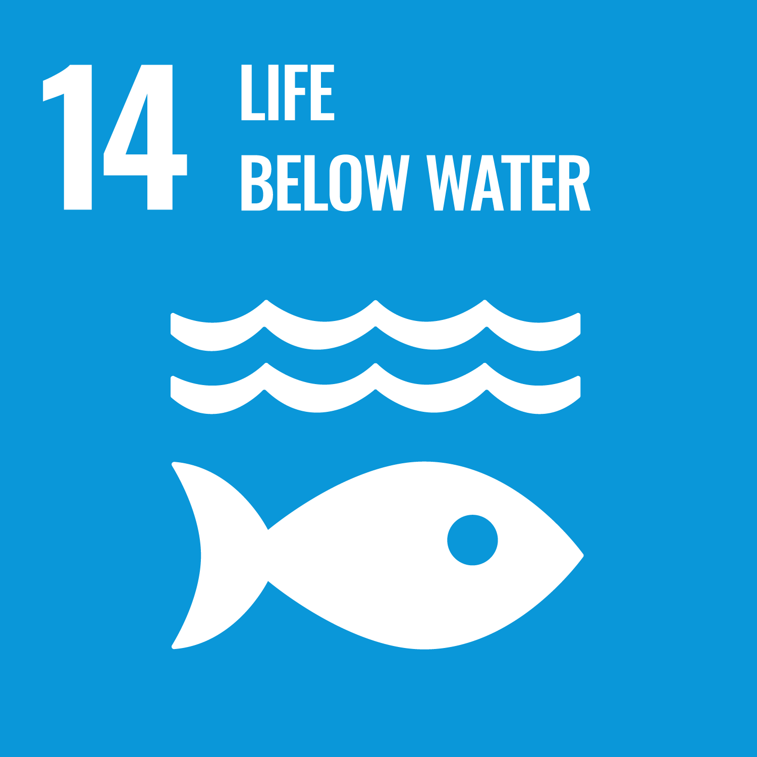 SDG 14: Life Below Water image