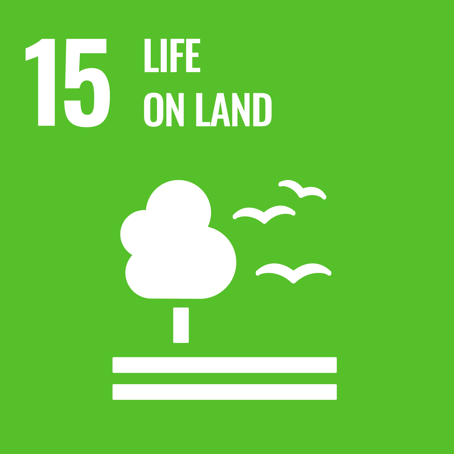 SDG 15: Life on Land image