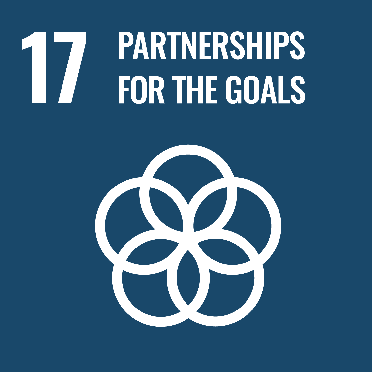 SDG 17: Partnerships for the Goals image